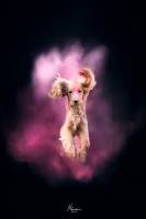 Ninon MACHE - Mache
